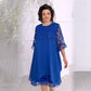 2025 Neue Produkte Rabatt💃🌟Transparentes Spitzenkleid in Layering-Optik🌟