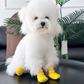 🐶🧦 ¡OFERTA 50% OFF! Zapatos Impermeables Antideslizantes para Perros – Protección Total para sus Patitas