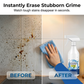 Fast Clean Multi Surface Spray