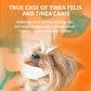 🐶🐱🔥 50% OFF POR TIEMPO LIMITADO | Gotas y Limpiador Ocular para Mascotas ✨ Cuidado Suave de Ojos, Limpia Lágrimas y Ayuda a Mantener una Mirada Saludable